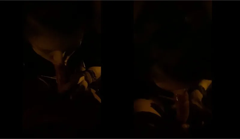 Cho bồ dâm mút cục thịt trong công viên